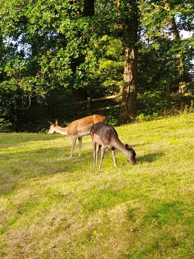 Wye Valley Retreat Chepstow Bagian luar foto